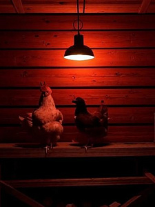 Инфракрасная лампа для обогрева птиц и животных, 100 Вт, цоколь Е27 Огонёк OG-LDP42A